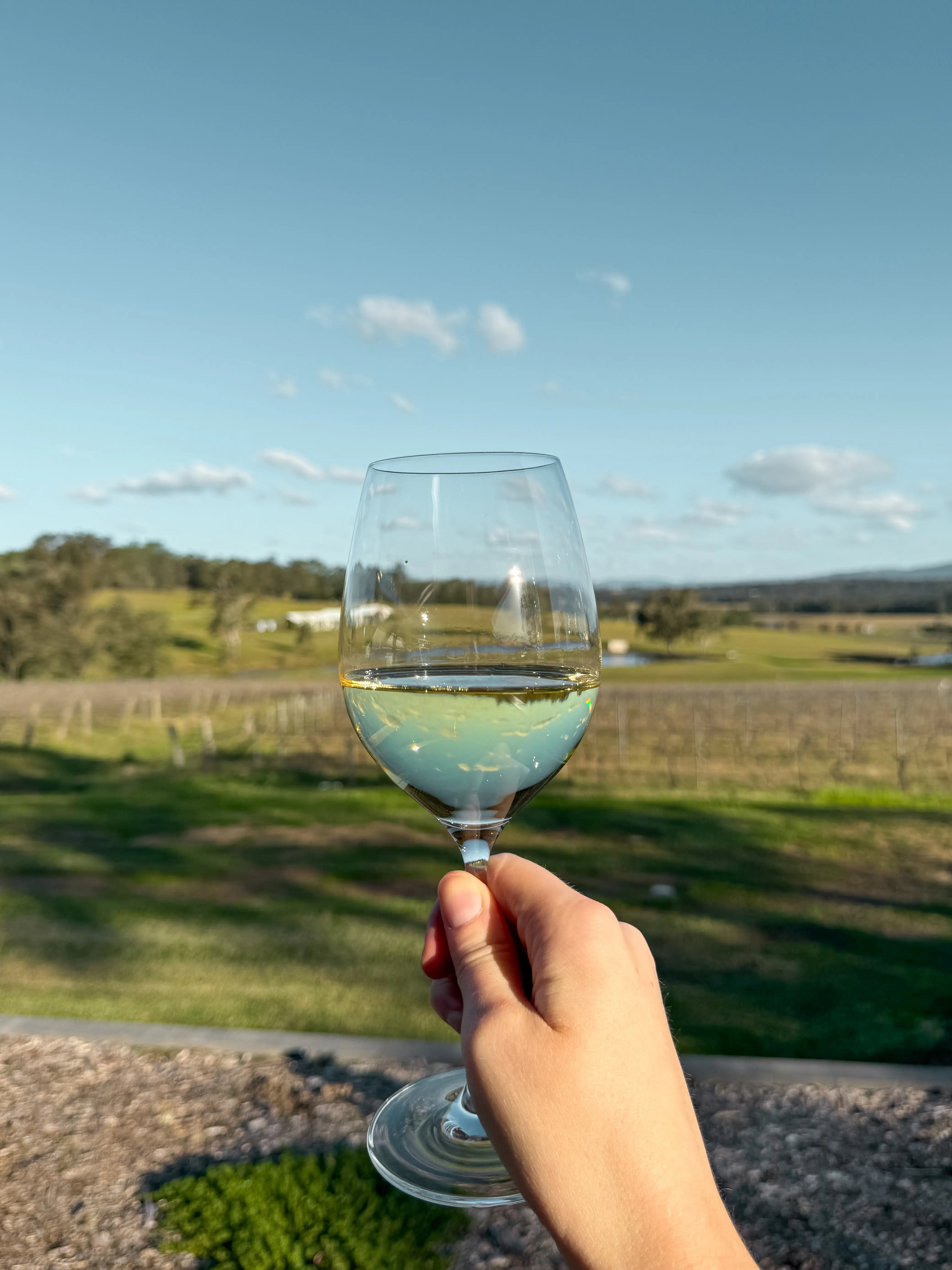 Semillon 2025 Molly Morgan Wines 3