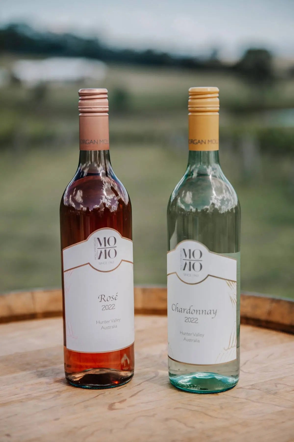 Rosé 2023 Molly Morgan Wines 4