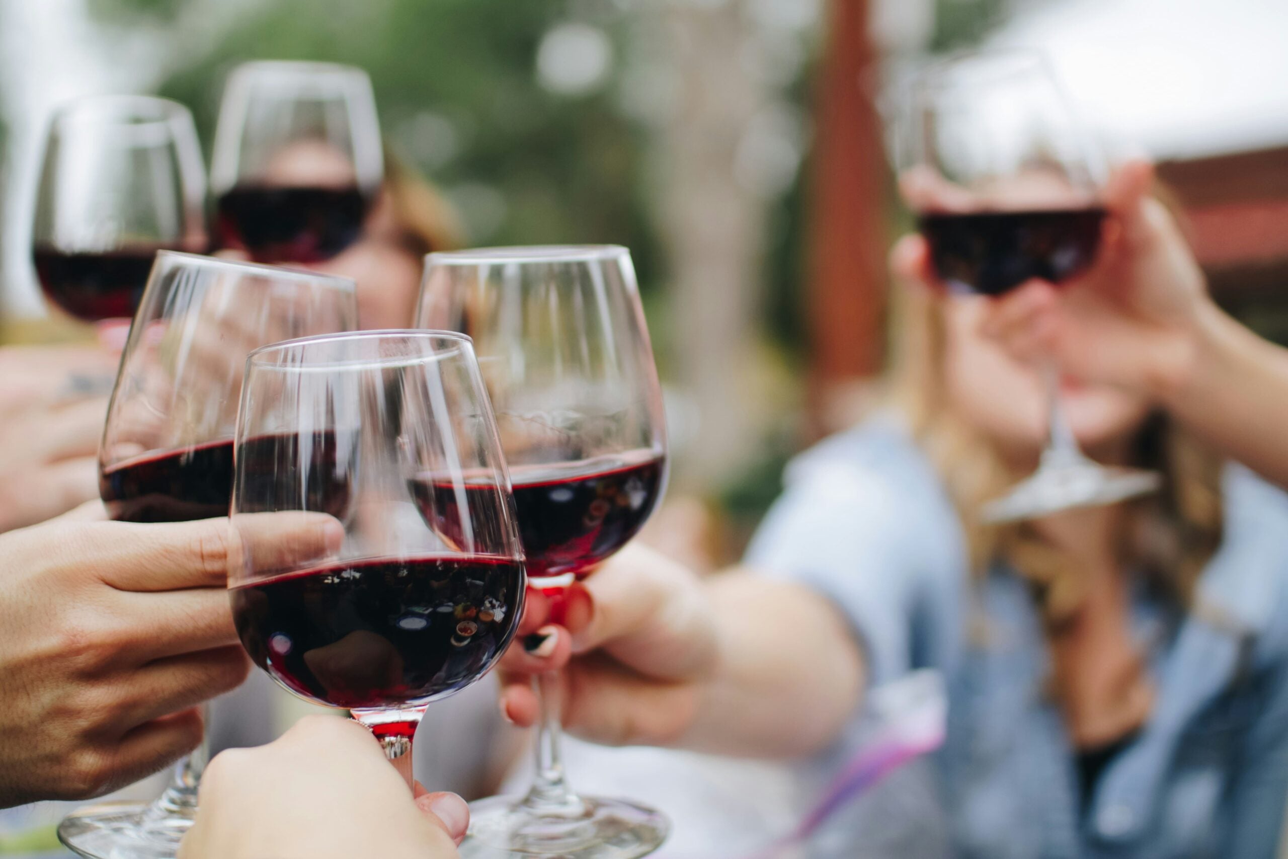 Shiraz 2018 image 3