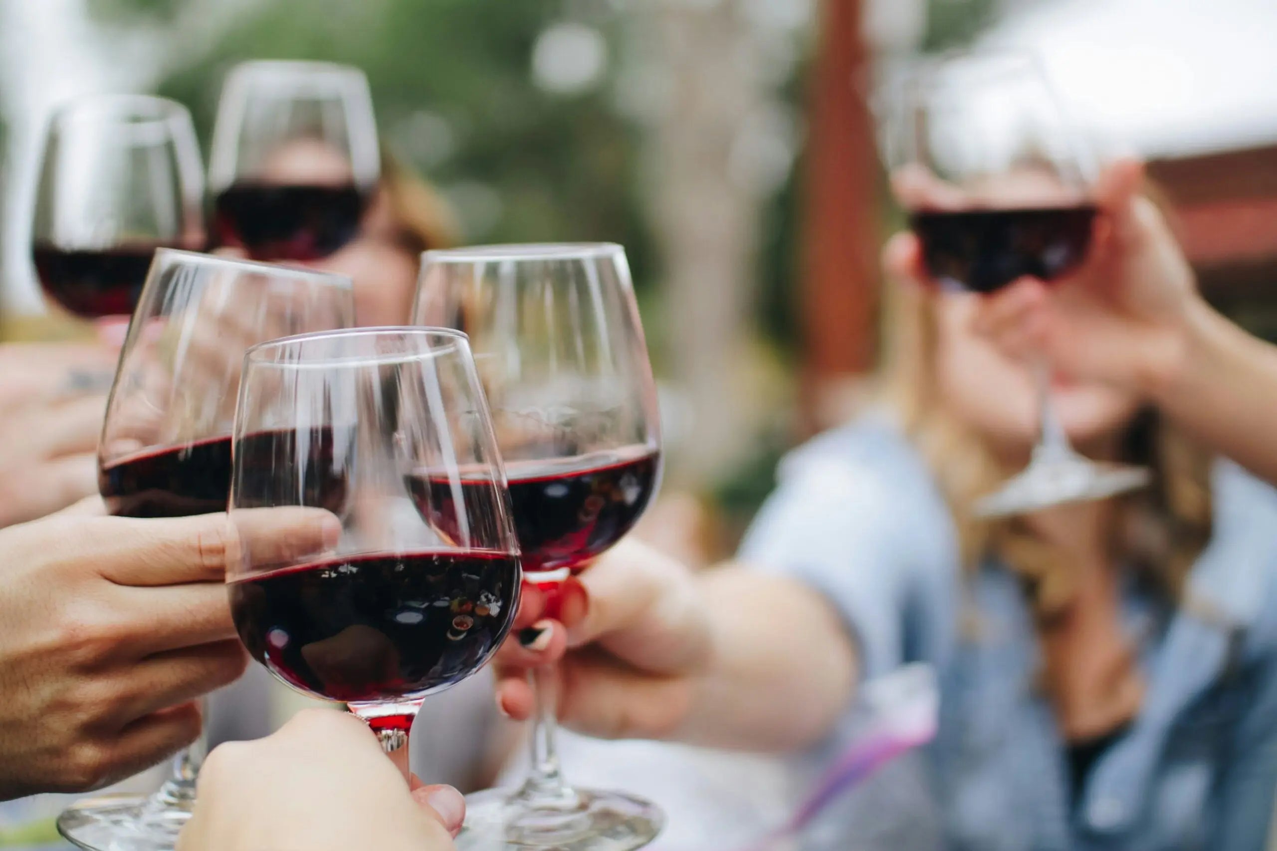 Shiraz 2018 Molly Morgan Wines 3