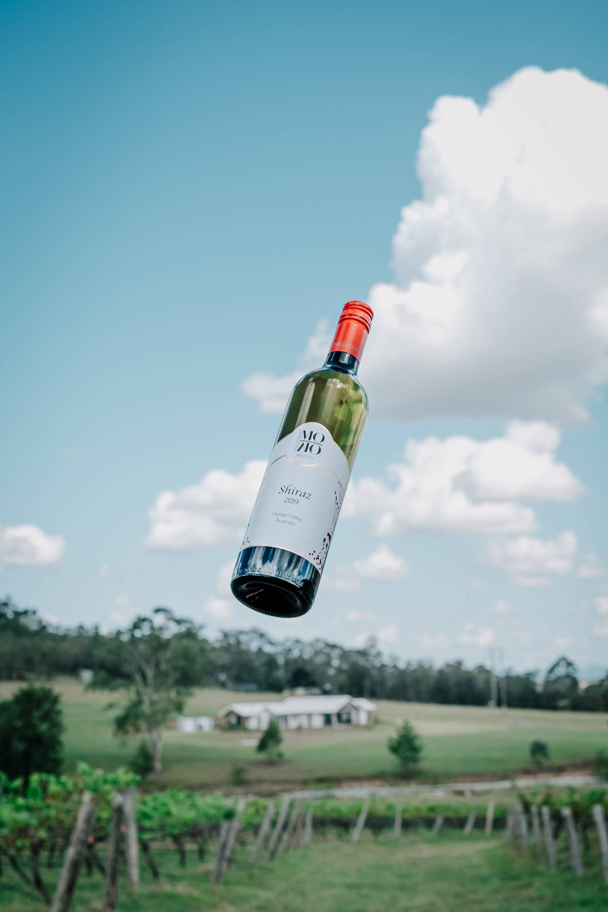Shiraz 2019